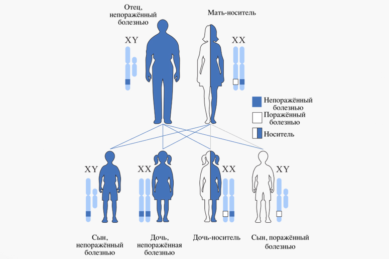 Что такое гемофилия и чем она опасна - Телеканал Доктор