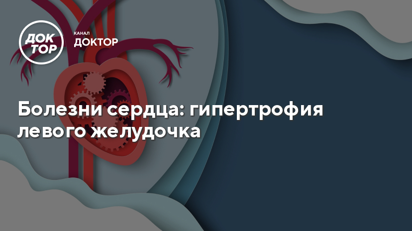 Болезни сердца: гипертрофия левого желудочка - Телеканал Доктор