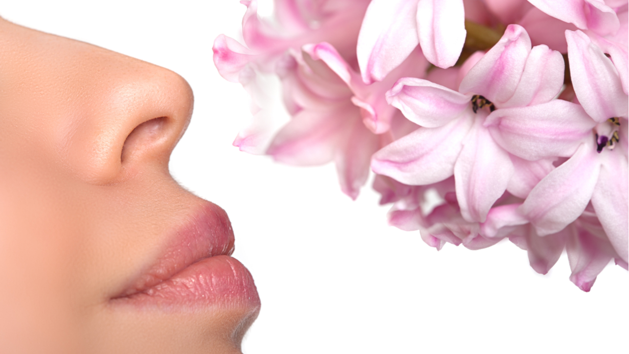 запах ванили в носу. запах ванили в носу. обоняние. интересные факты об органе обоняния нос. запах ванили в носу.