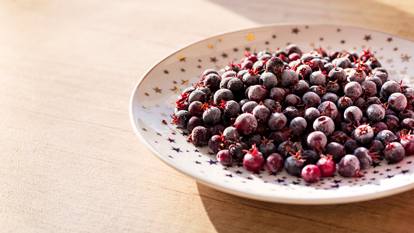 Ирга: полезные свойства и 10 вкусных рецептов из этой ягоды