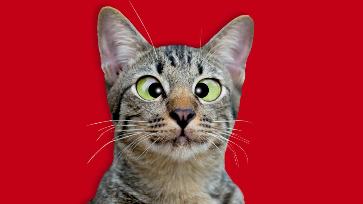Можно ли вылечить косоглазие? - Телеканал Доктор