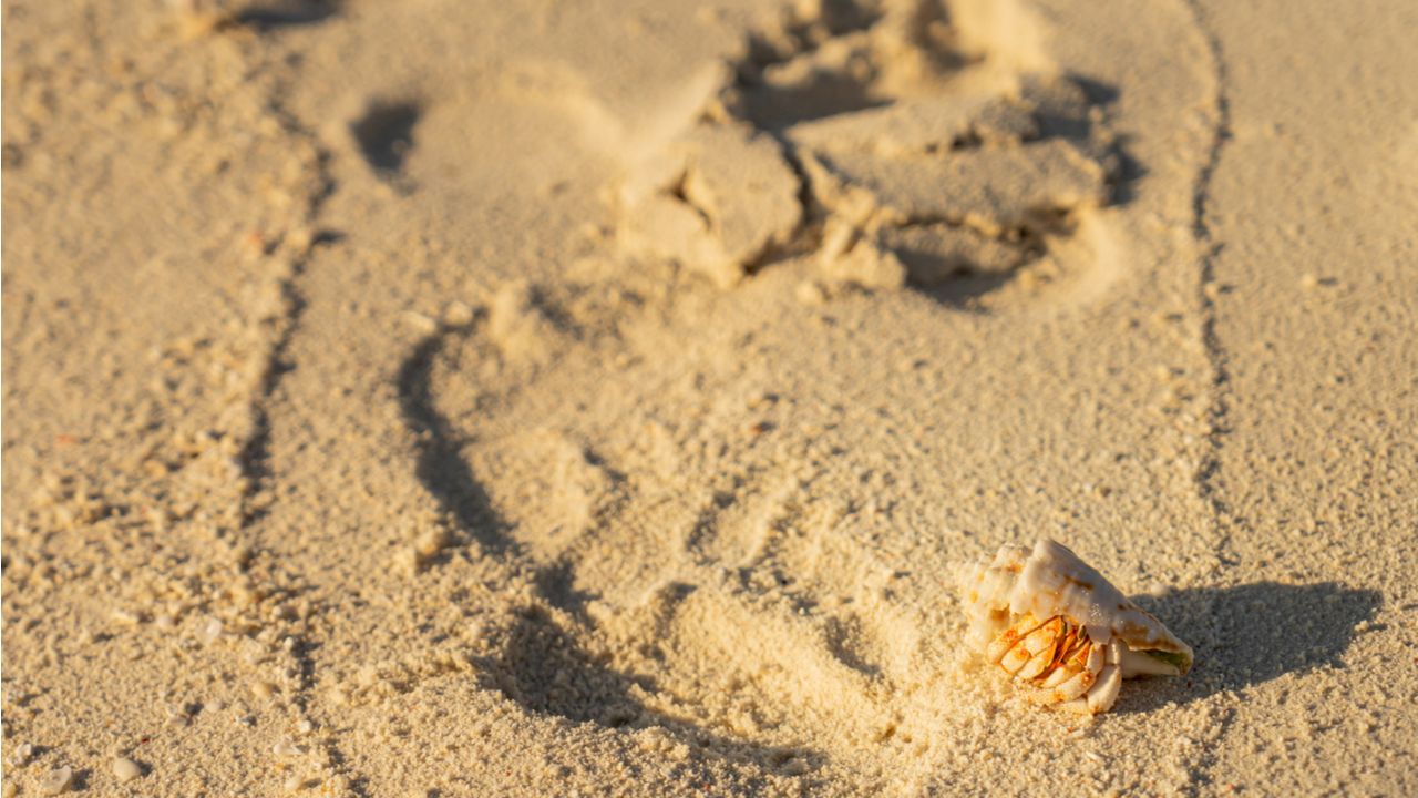 Чем опасны пески. Токсичный песок. Сыпящийся песок. Ядовитый песок. Красный песок.