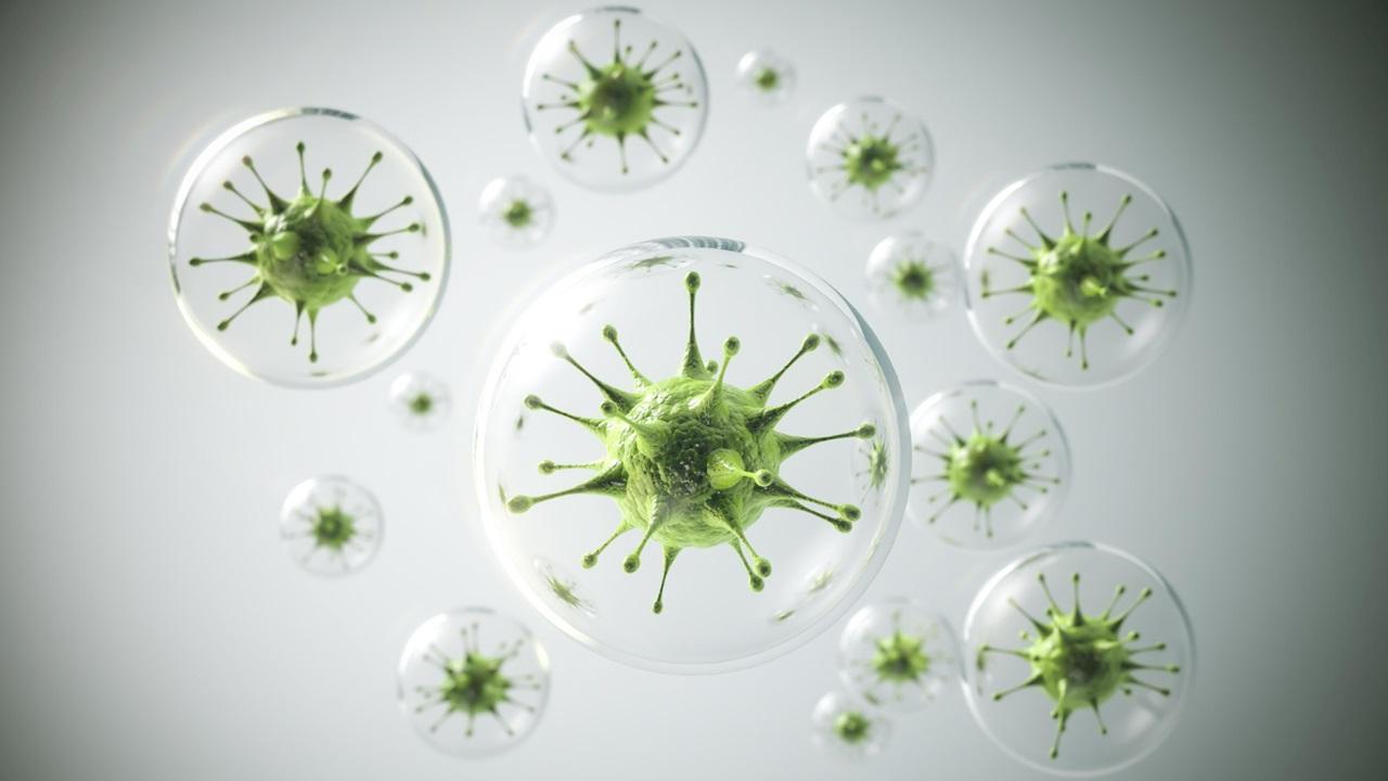 Почему некоторые вирусы остаются в организме на всю жизнь — исследование