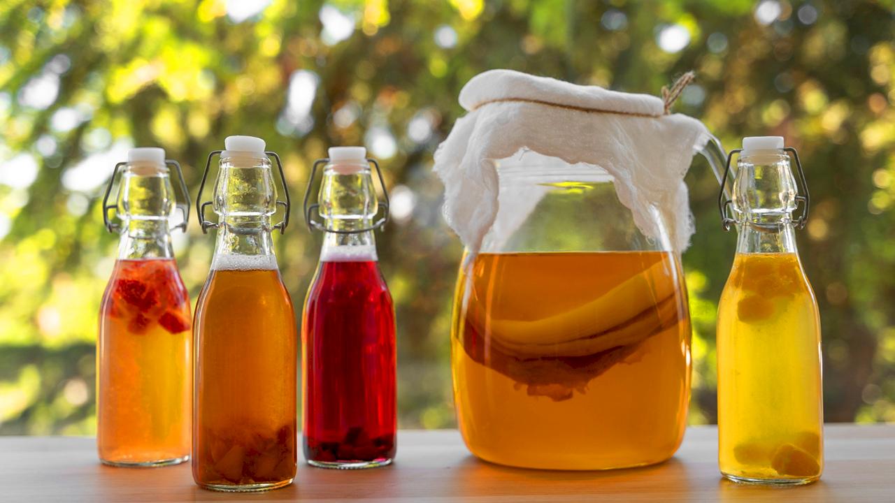 Чайный гриб — польза и вред для организма, лечебные свойства