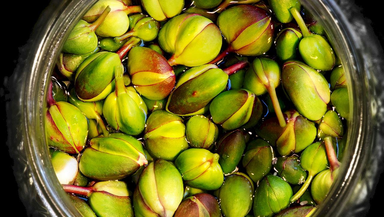 Каперсы  —  польза и вред для организма, состав и лечебные свойства 