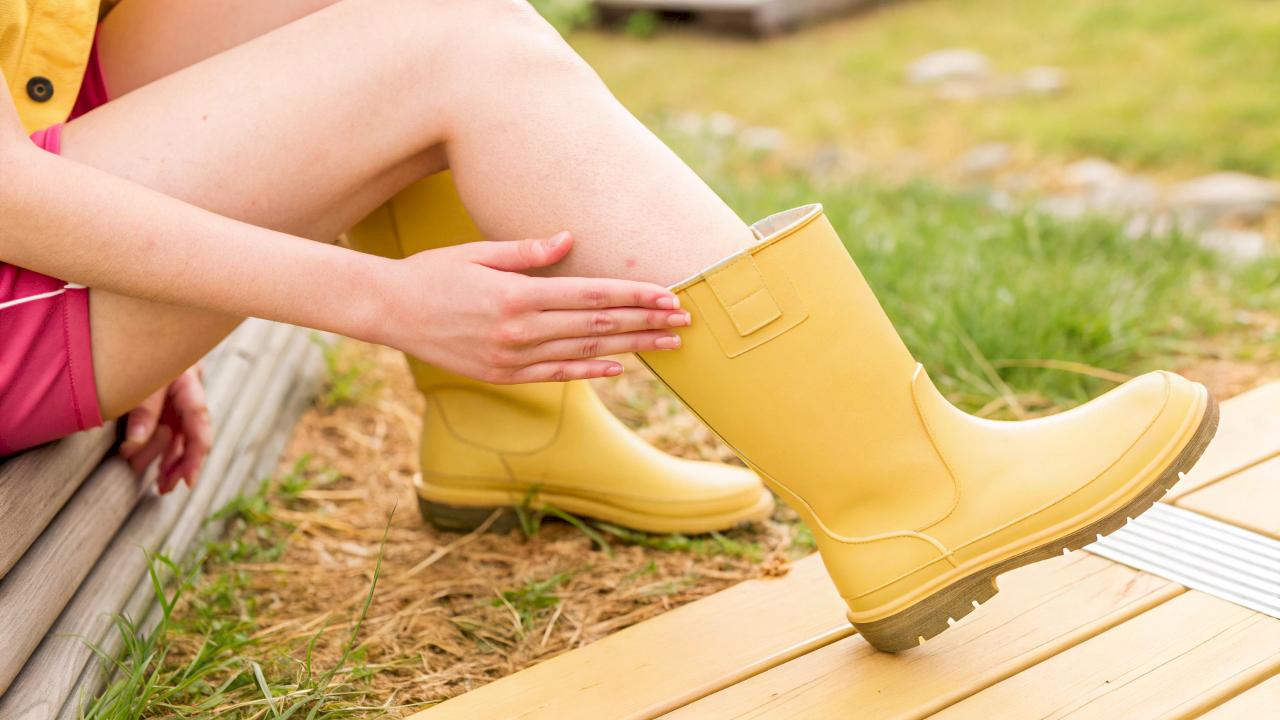 Клещи: как себя обезопасить в сезон, и что делать, если вас укусили