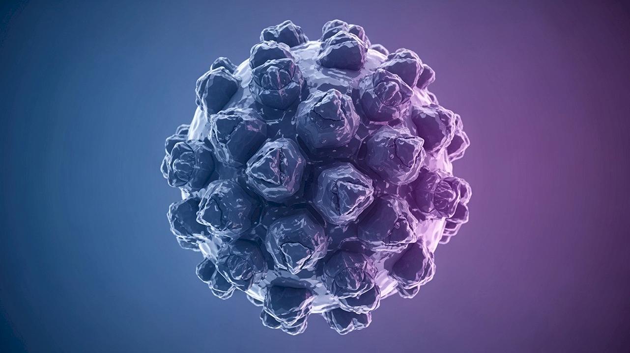 Нипах — что это за вирус и почему все о нем говорят? 