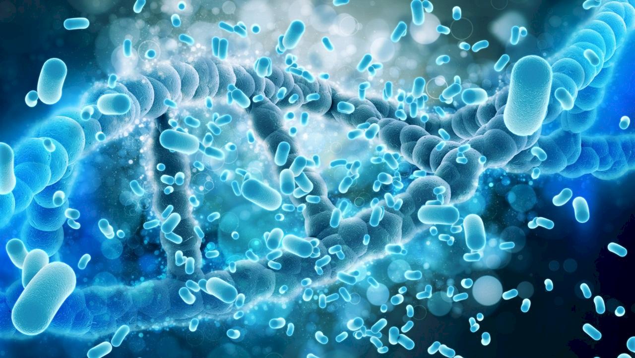 Ученые нашли новый механизм управления весом