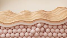 В жировых клетках нашли ключевой механизм защиты организма от избытка калорий