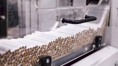 Подсчитано, сколько лет жизни теряет человечество в год из-за курения