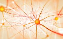 Выращены нейроны, которые помогут лечить болезнь Паркинсона