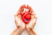 Впервые удалось трансплантировать младенцу часть сердца, которая будет расти с ним