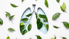 Начались международные испытания первой мРНК-вакцины против рака легких