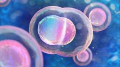 Спустя 30 лет из замороженных эмбрионов родились близнецы