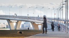 Число заболевших COVID-19 в России за сутки опустилось ниже «психологической отметки»