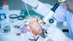 Британская вакцина от COVID-19 вызвала сильный иммунный ответ у пожилых людей