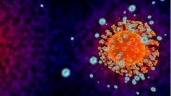 Эксперт рассказала о неожиданном «союзнике» в борьбе против мутаций COVID-19