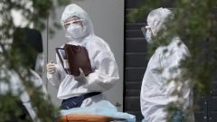 В России обновился максимум по смертности от коронавируса