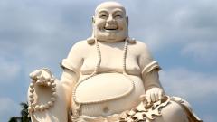 Ожирение — это «нормально»