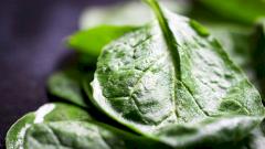 Какой шпинат полезнее: сырой или приготовленный