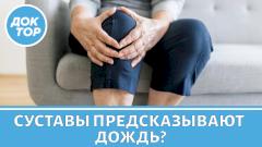 Суставы и погода: почему болит и как справиться