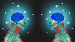 Чудеса науки