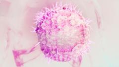 Найден способ избавить организм от вируса простого герпеса