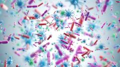 эксперты предупредили об угрозе опасных вспышек из-за землетрясений в Турции