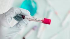 В Европе и Африке обнаружили два новых подвида «Омикрона»