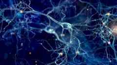 Истоки болезни Паркинсона могут находиться в кишечнике