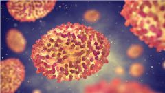 Исследование: оспа распространилась по миру благодаря викингам