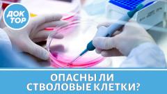 ЗА и ПРОТИВ лечения стволовыми клетками