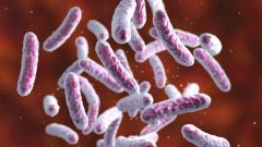 Язвенный колит будут лечить кислотными добавками