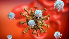 Биолог объяснила действие вакцин на примере грузовика с апельсинами