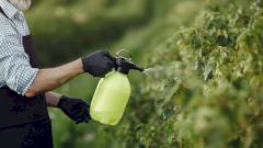 Распространенный пестицид связан с двукратным риском развития болезни Паркинсона