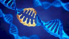 москвич умер от редчайшего генетического заболевания