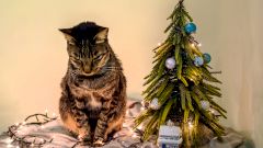 Я ненавижу Новый год: что делать