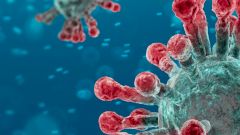 Коронавирус нашел новый способ проникновения в клетки