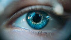 10 фактов о глазах