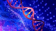 Создана новая генная терапия, уничтожающая ВИЧ