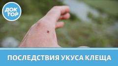 ЗИМНИЕ ПОСЛЕДСТВИЯ ЛЕТНЕГО УКУСА КЛЕЩА