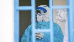 Вирус Шамонда впервые обнаружили у человека — пациент умер