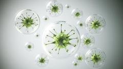 Почему некоторые вирусы остаются в организме на всю жизнь — исследование