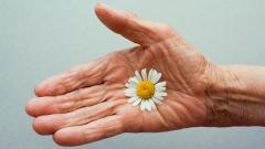 Выяснилось, почему долгожители живут дольше остальных