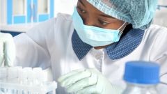 Расследование ВОЗ показало, как коронавирус был передан человеку