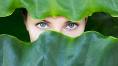 Летние бьюти-процедуры