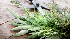 Пять средиземноморских трав снижают риск сердечных заболеваний и диабета