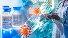 Британцы объяснили низкие показатели эффективности вакцины от COVID-19