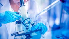 Появился новый анализ, распознающий самую смертоносную форму рака мозга