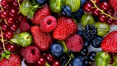 Названы ключевые составляющие диеты долголетия